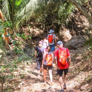 What to do in sayulita Hiking to Monkey Mountain