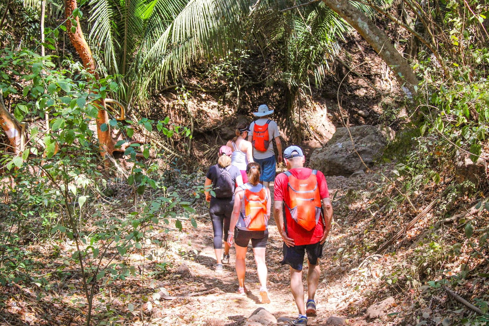 What to do in sayulita Hiking to Monkey Mountain