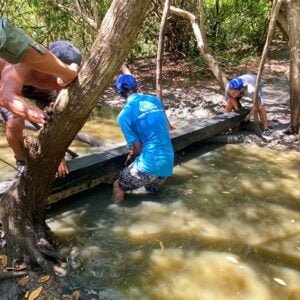 Surfing In La Lancha Continues As Usual! Bridge Building By Wildmex