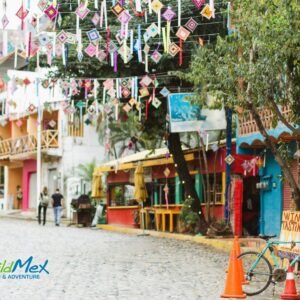 Places similar to Sayulita? Read More Here >>