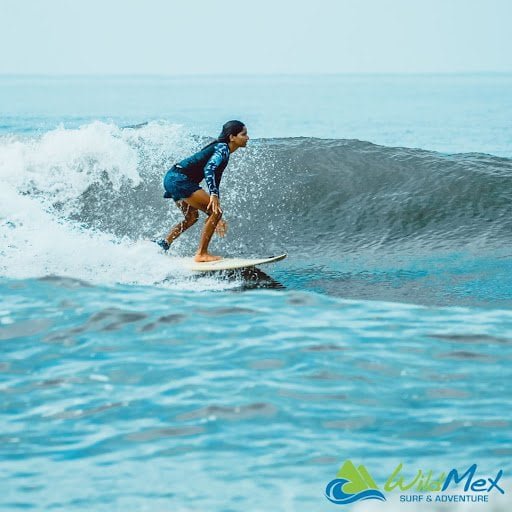 Don’t wanna be in the dog house? When learning to Surf in Mexico, learn surfing etiquette first! Don’t wanna be in the dog house? When learning to Surf in Mexico, learn surfing etiquette first!