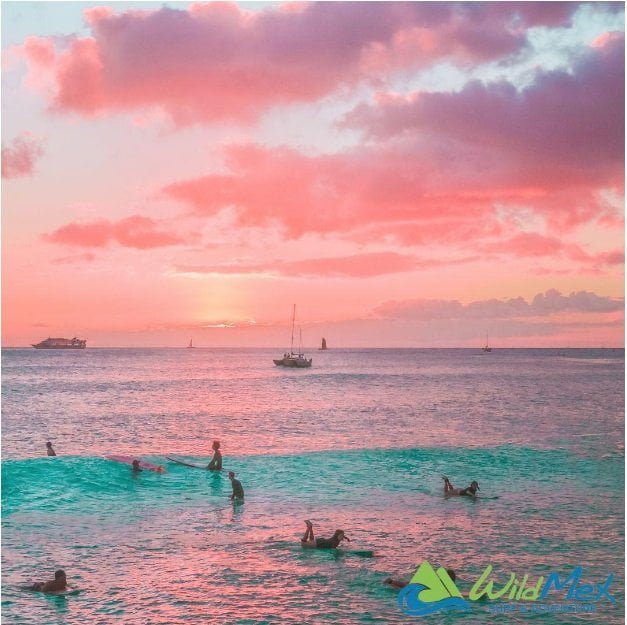 Learning to surf in Mexico looks a little like this…
Learning to surf in Mexico looks a little like this…