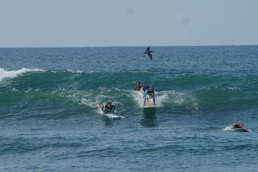  A REAL snapshot of the beginner’s guide to surf safety & surf etiquette!
