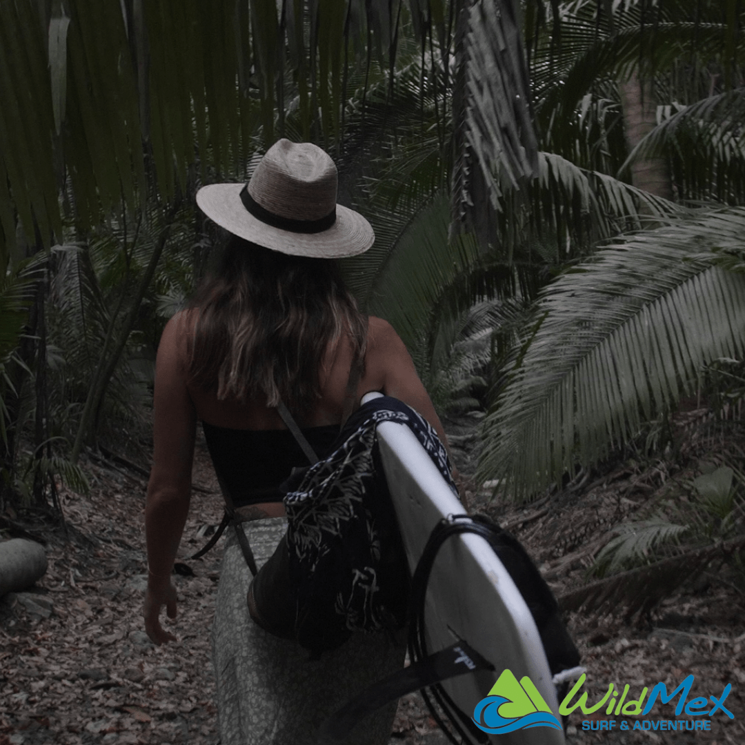 WildMex Taking Action for Sustainability in Punta Mita WildMex Taking Action for Sustainability in Punta Mita