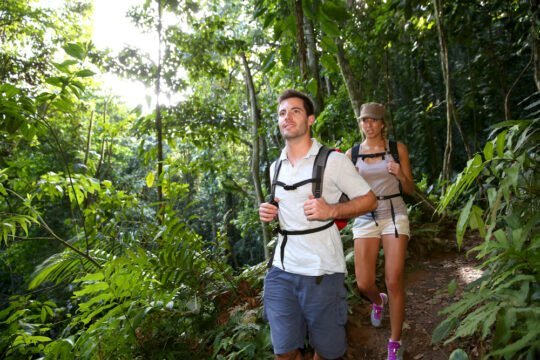 Trail to the summit of Monkey Mountain: Adventure in Punta Mita's nature
