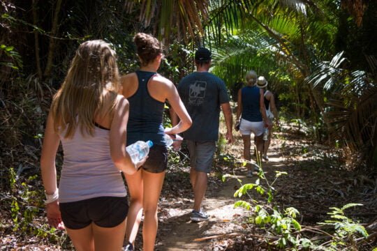 Jungle exploration at Monkey Mountain: Winding trails and natural shade