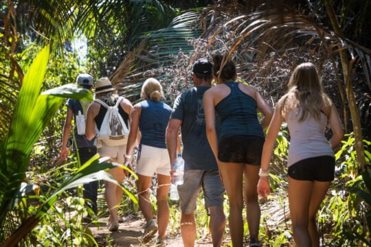 Trail exploration at Monkey Mountain: Unique experiences of flora and fauna