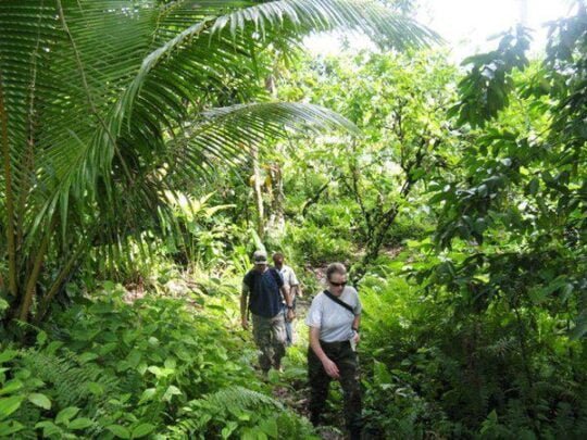 Spectacular views during hiking at Monkey Mountain, Punta Mita