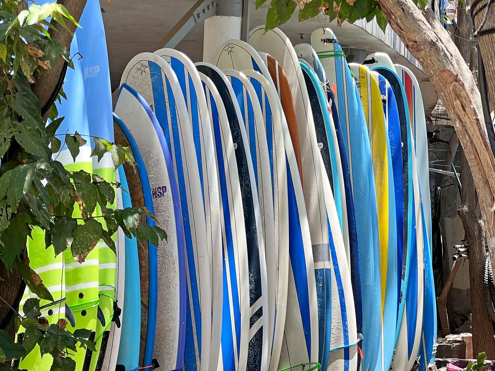 From beginner-friendly to high-performance boards, find your perfect match at Sayulita or La Lancha 400+ boards to choose from and you can switch anytime